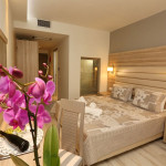 DIONYSOS HOTEL 10